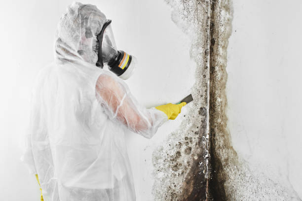 Best Crawl Space Mold Removal  in Liberty, NC
