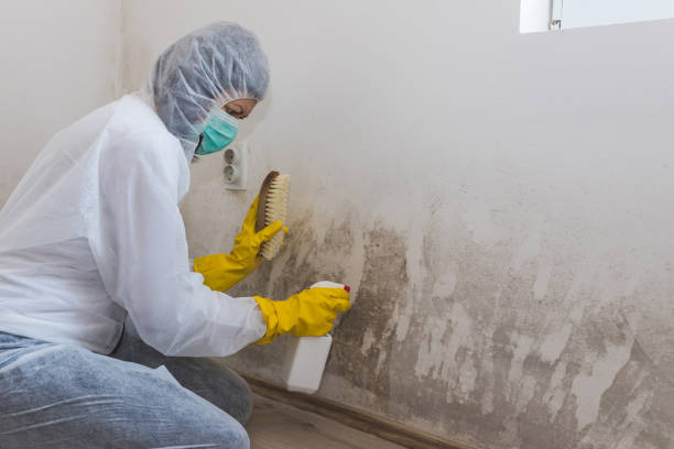 Best Water Damage Restoration  in Liberty, NC
