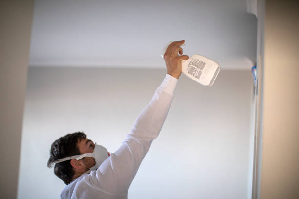 Best Best Mold Removal Companies  in Liberty, NC