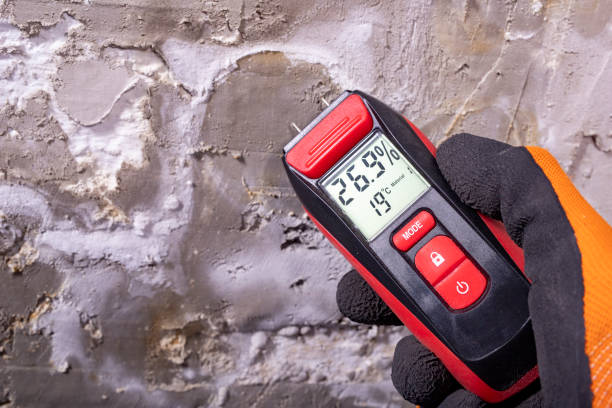 Best Best Mold Removal Companies  in Liberty, NC