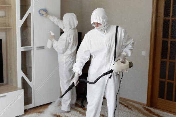 Best Mold Removal Process  in Liberty, NC