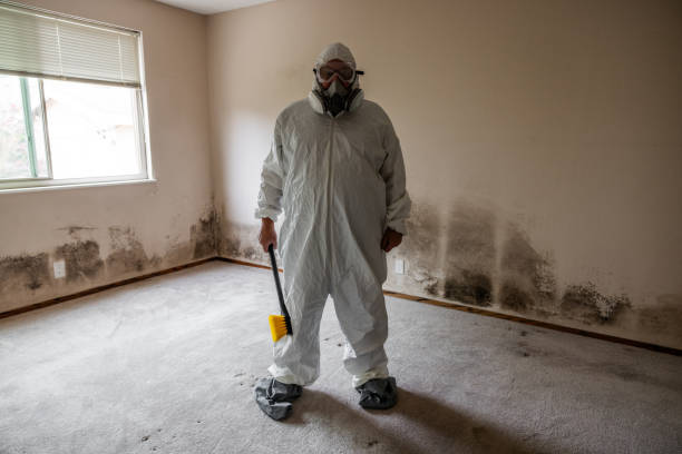 Best Home Mold Removal  in Liberty, NC