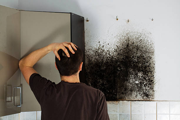 Best Local Mold Removal Service  in Liberty, NC