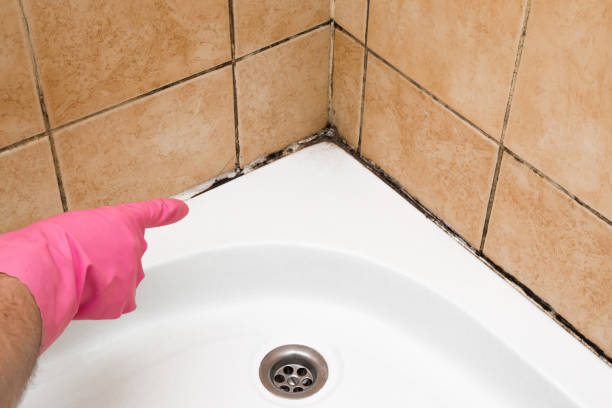 Best Residential Mold Removal  in Liberty, NC